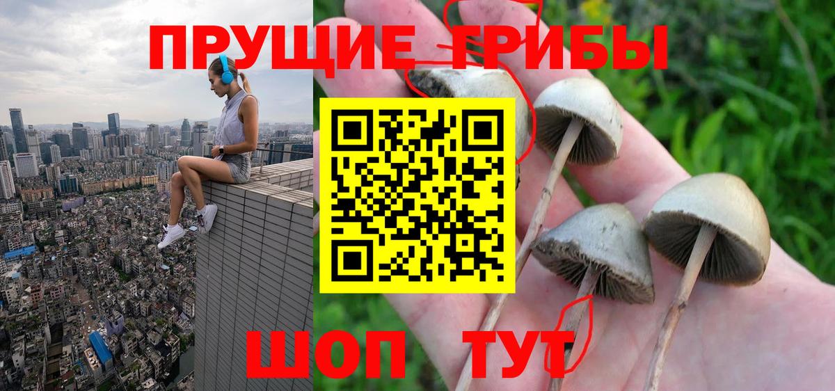 Галлюциногенные грибы мухоморы Ялуторовск